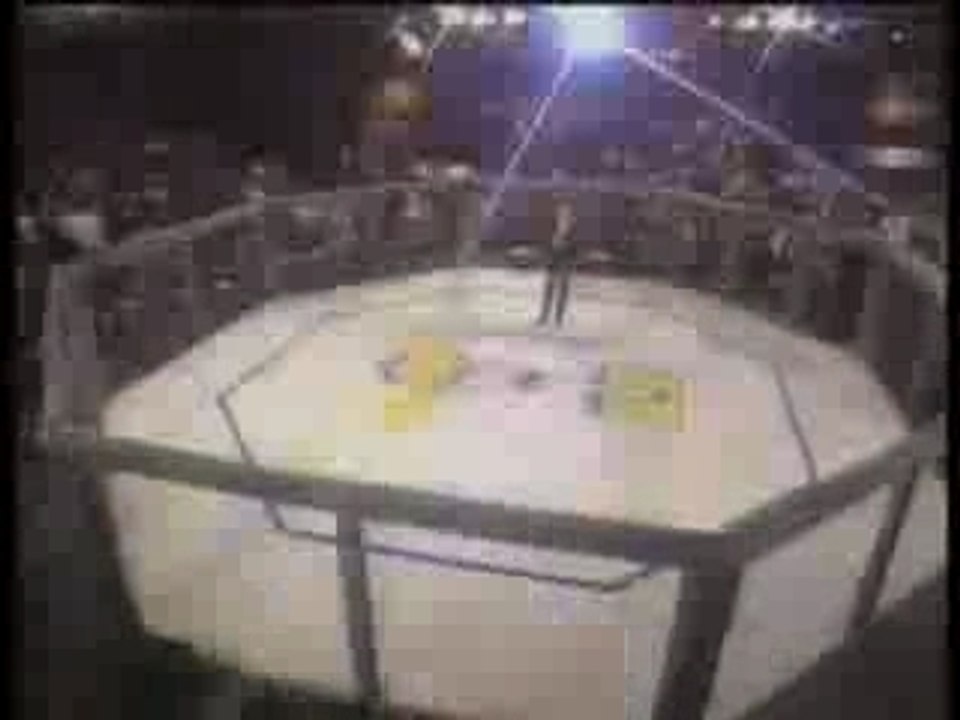 Royce Gracie Tribute