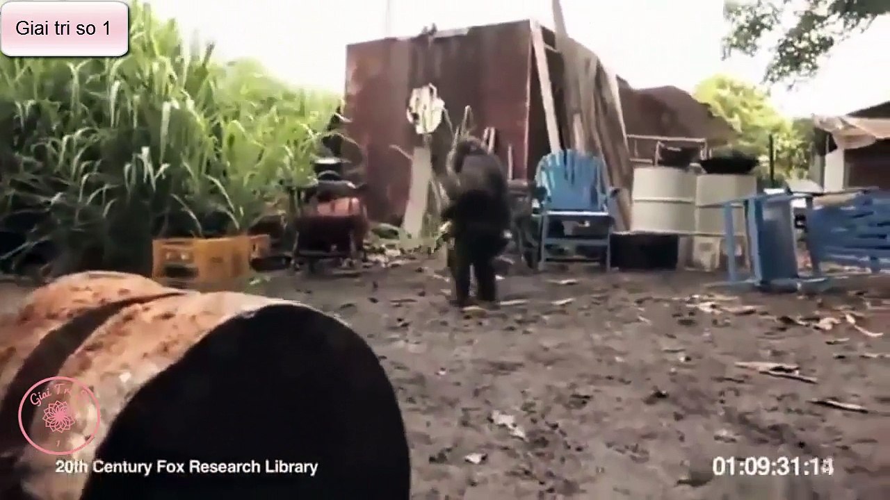 Video Funny - Stupid people