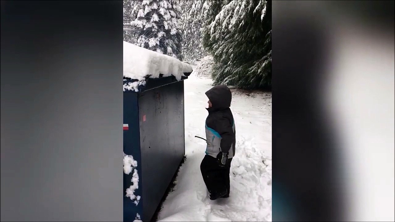 Ce gamin va regretter son geste très vite