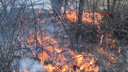 Çalılık yangını evlere sıçramadan söndürüldü