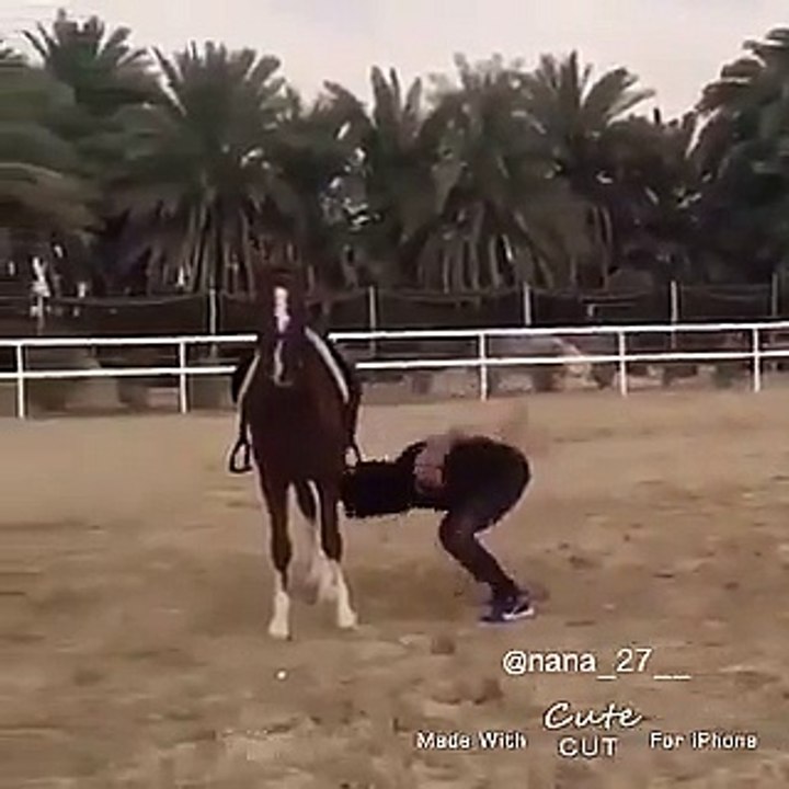 الفروسية الحقيقية