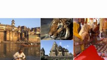 India Holiday Tour Packages | Bestway Tours & Safaris