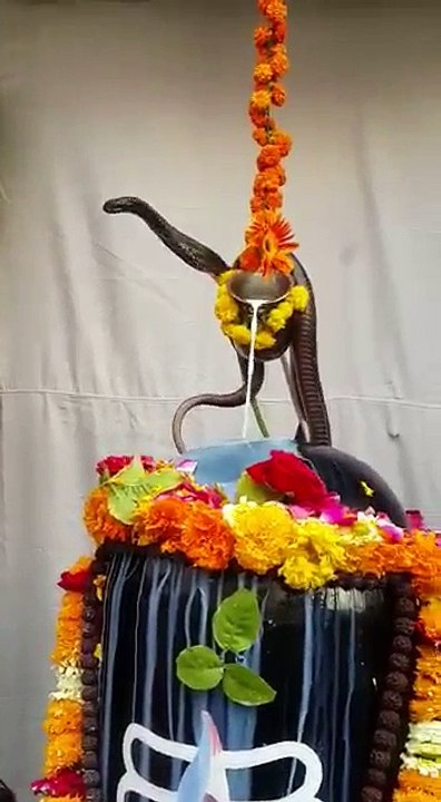 Lord shiva