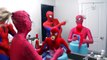 Халк сидит против МАЛЕФИСЕНТА против розовый Человек-паук против человека-паука с ВЕНОМОМ и веселый балагур супер
