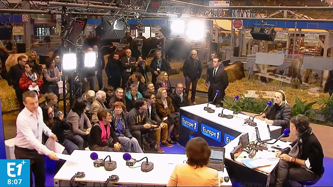 Chiens renifleurs de cancer : une efficacité à 100% sur six mois de tests