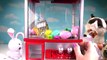Secret Life of Pets Play CLAW MACHINE Game with Toy Surprises! Can We Save Chloe?!