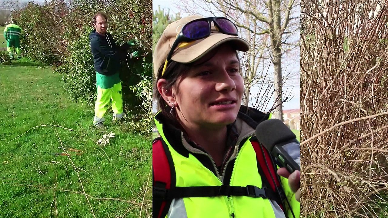 Dialogue avec nos jardiniers : la taille hivernale