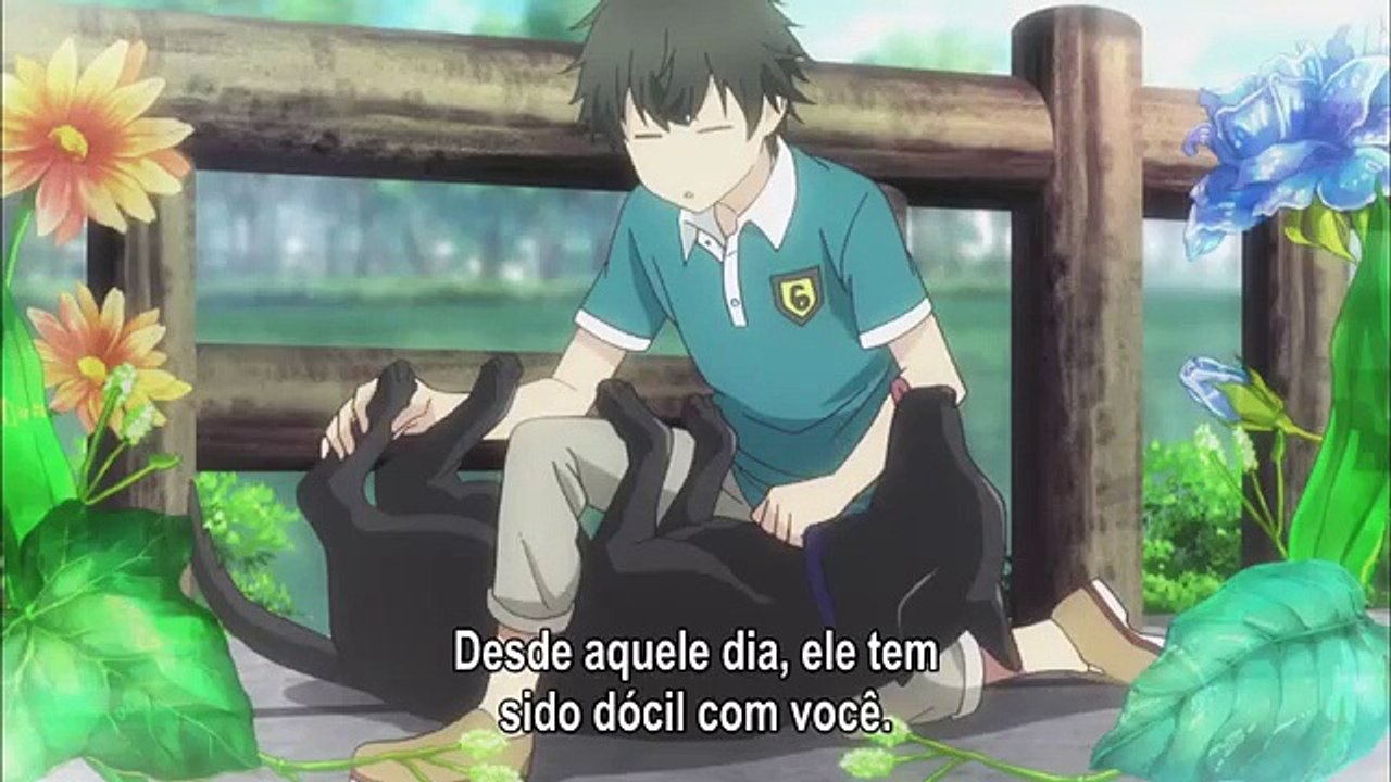 SP 2° 03