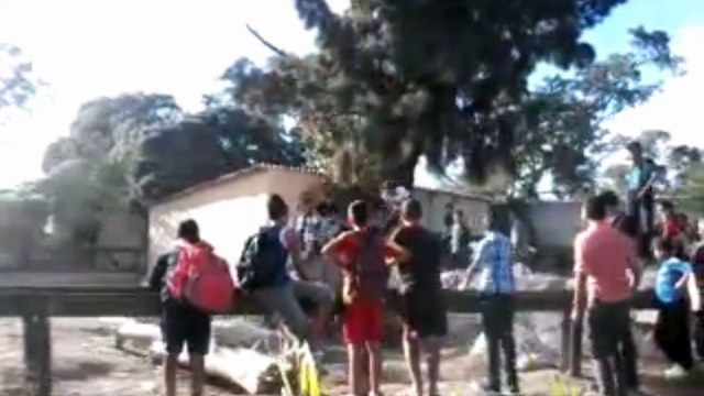 أطفال يمتطون حيوان الكركدن في حديقة الحيوانات البلفيدير !