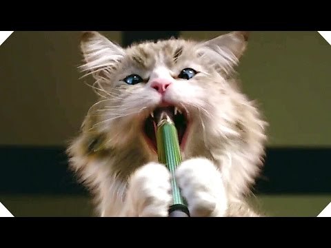 MA VIE DE CHAT - Chat + Stylo = Zéro ! - Extrait VF (Kevin Spacey - 2016)