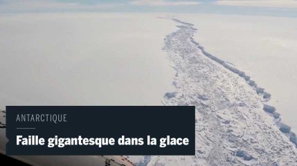 Une gigantesque faille pourrait créer un iceberg de 5 000 km2 en Antarctique