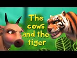 The Cows and the Tiger - Stories for Kids ___ LEARNING KIDS