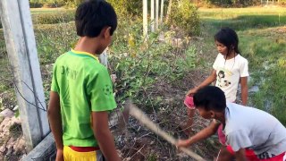 Wow! Amazing Children Catch Big Water Snake In Hole - Catch Snake In Cambodia