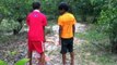 Wow! Brave Boys Catch Village Snake In Jungle - How To Catch Village Snake In My Village