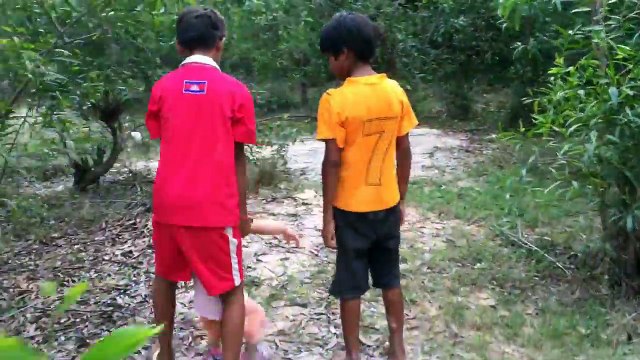 Wow! Brave Boys Catch Village Snake In Jungle - How To Catch Village Snake In My Village