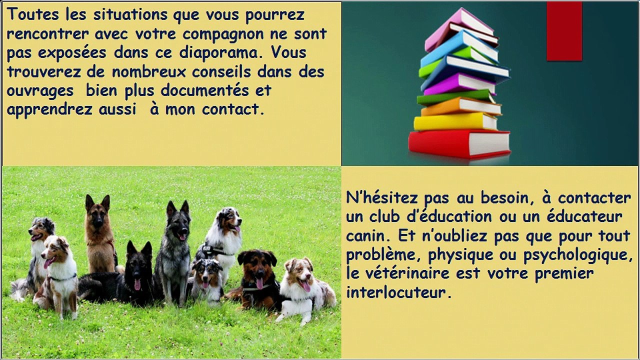 Livret d'éducation, Centre Cynophile Saint Roch, Juillan