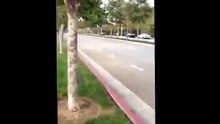 Il voit un conducteur passer à pleine vitesse avec son bolide et décide de faire quelque chose de complètement fou !