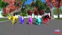 3d Colors Dinosaurs Gorilla Finger Family song - Animals Cartoons finger Family Nursery Rhymes
