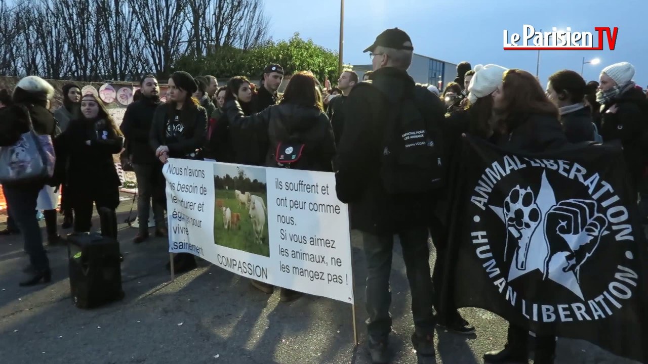 Houdan : face-à-face sous haute tension devant l’abattoir porcin