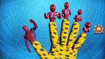 Spiderman Cartoons for Children Finger Family Nursery Rhymes | Spiderman Finger Family Rhymes