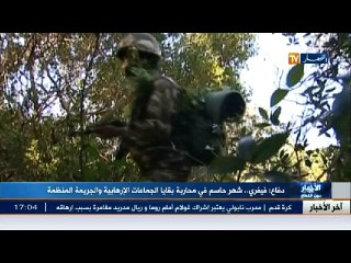 دفاع: فيفري .. شهر حاسم في محاربة بقايا الجماعات الإرهابية والجريمة المنظمة