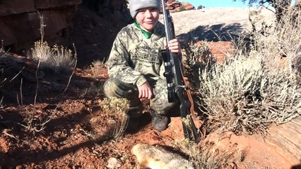 Guide to Finding Cottontails for Rabbit Hunting