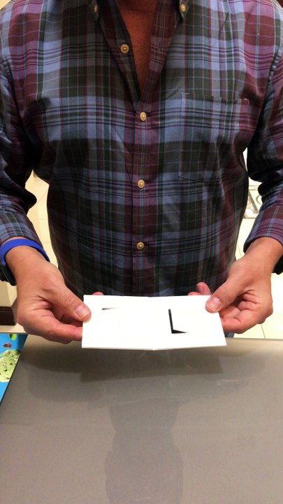 f'real Demo