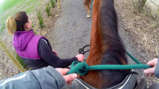 elsa premiere ballade 03.03.2017