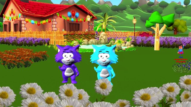 Giant Colors Cats Finger Family Funny Cats Compilation | Little Baby Boy Nursery Rhymes So