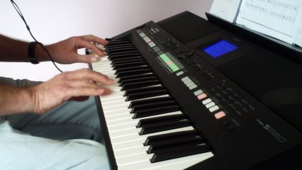 All you need is love  Beatles CoverYamaha psr-s650