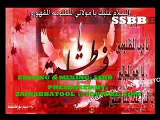 nohab AKELI HAI ZEHRA (SA)