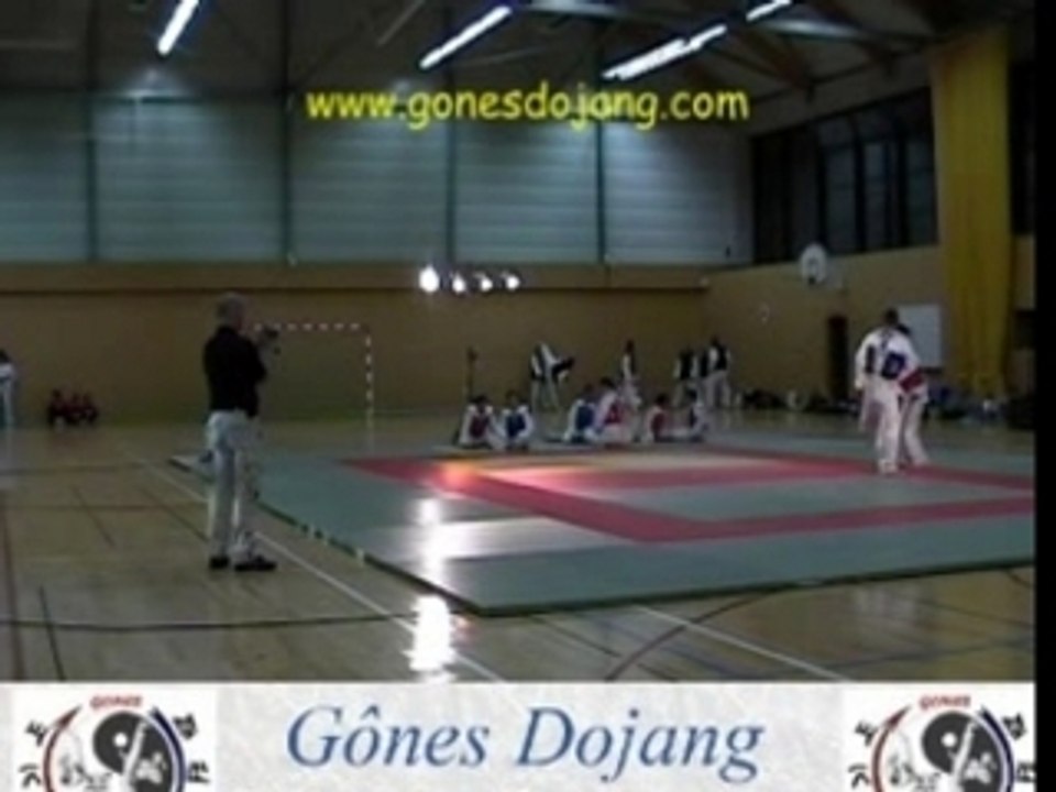 Gala Gones Dojang Belleville - Compétition Taekwondo