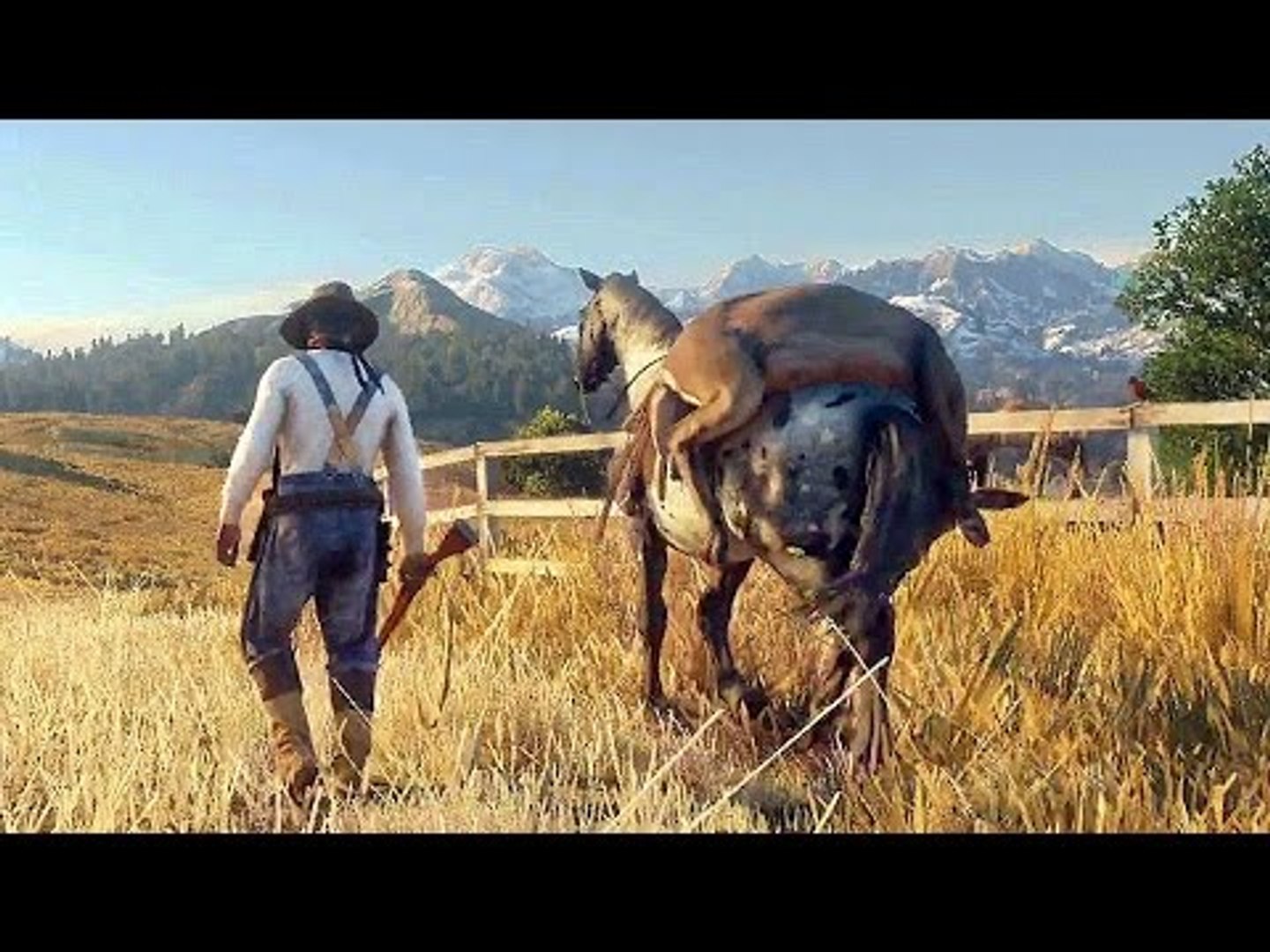 ⁣RED DEAD REDEMPTION 2 Bande Annonce [Français]