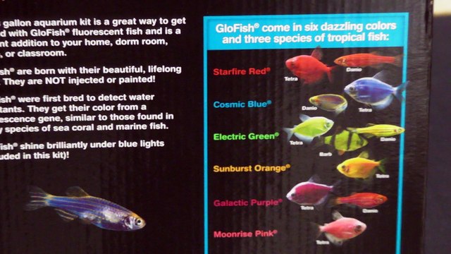 Tetra Glowfish 3 gallon Aquarium & Whisper Filter Unboxing Review