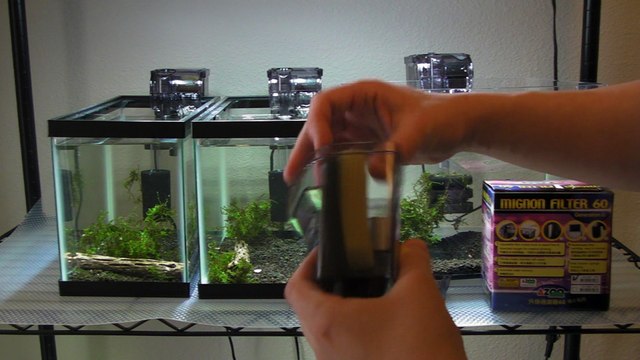 Azoo Palm Filter 60 Review and setup sponge ideas and Tetra Aquarium tank Setup