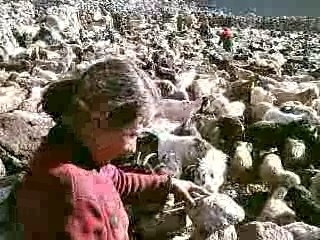 Les hautes routes du Karakoram – Partie 1