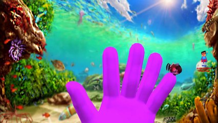 Animals Finger Family | Finger Family song | Kids Songs | Animal Nursery Rhymes for Childr