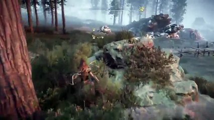 PS4live (Horizon Zero Dawn) (26)