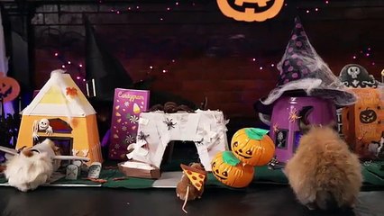 Tiny Hamster's Halloween