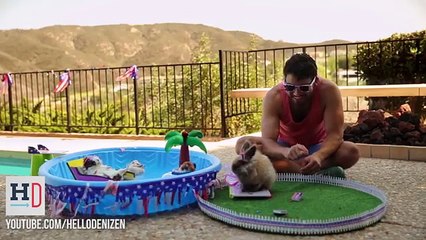 Tiny Hamster's Tiny BBQ