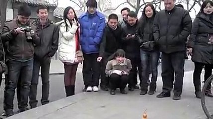 Pássaro recolhedor de esmolas vira sucesso ao guardar moedas em mealheiro