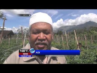 Descargar video: Hasil Panen Melimpah Di Garut, Petani Untung Dampak Kenaikan Harga - NET12