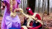 Spiderman is Kidnapped! w/ Frozen Elsa & Anna, Pink Spidergirl, Maleficent, Joker & Ariel