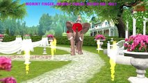 Colors Elephant Finger Family | Dinosaurs Lion Finger Family | Animals Nursery Rhymes Coll