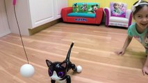 WORLDS CUTEST ROBOT PUPPY! MEET CHiP from WowWee Toys at Toy Fair 2016