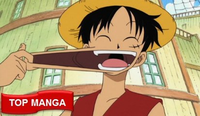 Trái ác quỷ hệ PARAMECIA trong one piece