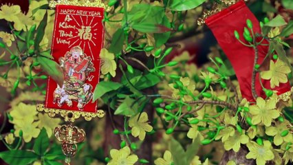 Ngày tết vui - Không khí tưng bừng