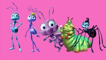 BUGS LIFE Finger Family Songs Children Nursery Rhymes Kid Songs