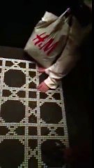 Messing with drunk lady on elevator