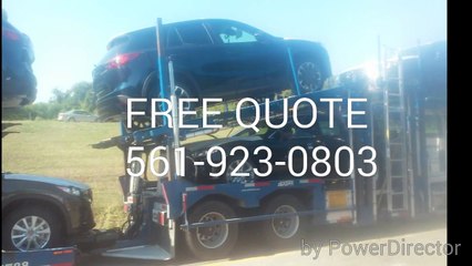 New York Car Shipping